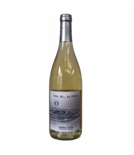 D.O. TERRA ALTA Fill de la...